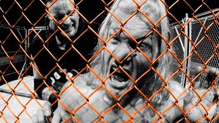 History Of The Cage Match screenshot 2