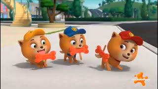 PAW Patrol: The Poms Enjoying Frozen Pup Treats.