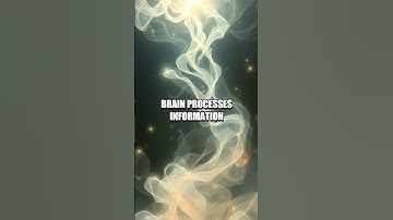 The Fascinating Effects of Priming on Behavior