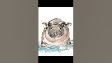 Painting a Pygmy Hippo, Moo Deng with Watercolor #shorts  #watercolorpainting #moodeng  #painting