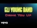 Eli Young Band - Drink You Up (Audio)