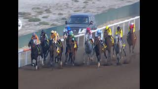 Vidéo de la course PMU VERTEX CUP