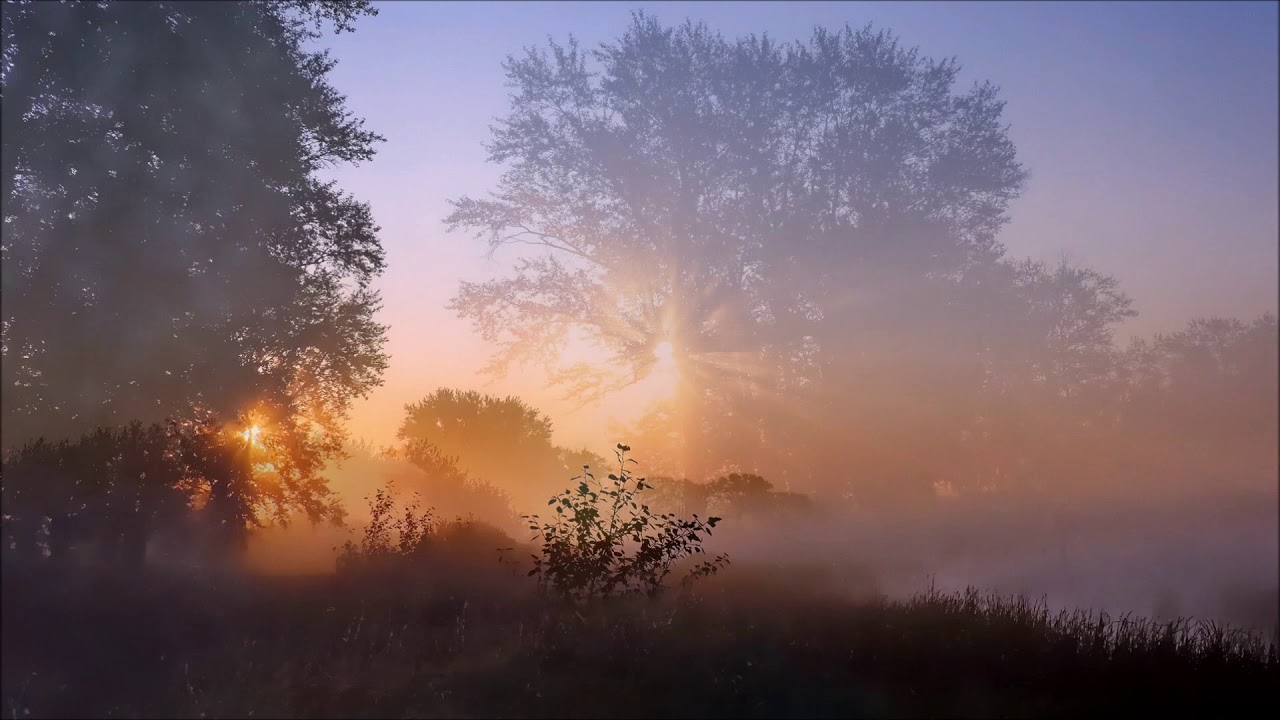 Там над рекою туман песня. Туман ТУМАНИЩЕ. Туман стелется. Туман ТУМАНИЩЕ над миром. Туман-ТУМАНИЩЕ братья Радченко.