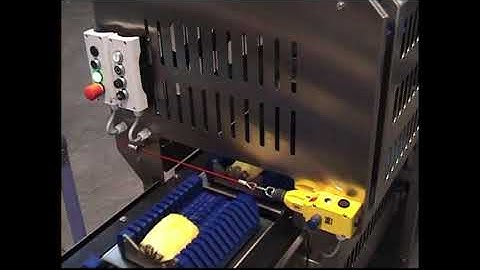 Máy Cắt Rẽ quạt (Chunks) trái Thơm/Khóm/Dứa Công nghiệp