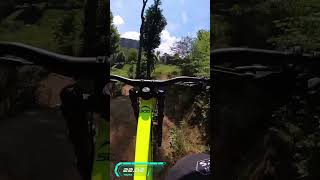 Sugar Mountain DH