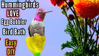 How To Make Hummingbird FUN EGG Water Fountain & Tips  LOVED Bird Bath EASY Solar Powered PORTABLE