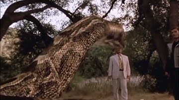 Python (2000) and Boa (2001) 🐍