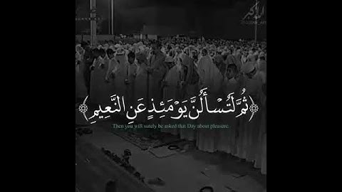 ياسر الدوسري 🌺 { ألهاكم التكاثر} تلاوة مبكية