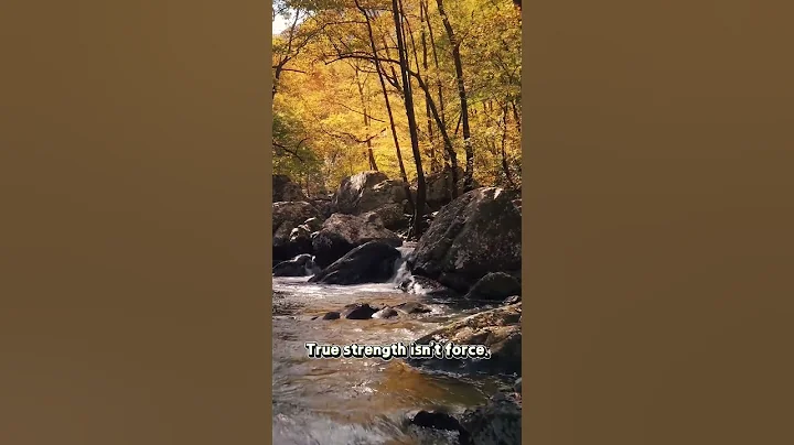 🚶‍♂️Today`s WisdomDose | &quot;Be water, my friend.&quot; - Bruce Lee