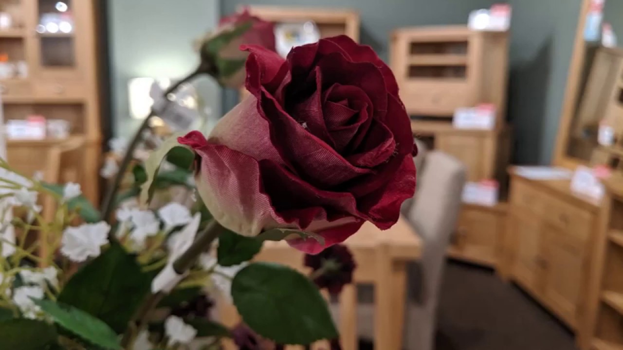 Furniture Shop in Torquay