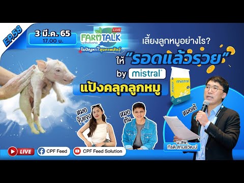 Live EP. 58 เลี้ยงลูกหมูอย่างไรให้รอดแล้วรวย...BY Mistral...แป้งคลุกลูกหมู