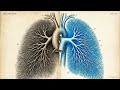 Pulmonary Interventions Crash Course | Chest Tube, Hemoptysis, AVM, PE