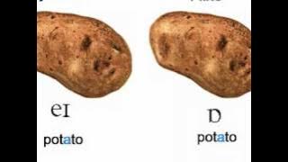 Let's call the whole thing off (Ella Firtzgerald and Louis Armstrong).wmv