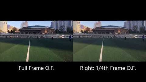 Problems With Optical Flow For Motion Based Estimation
