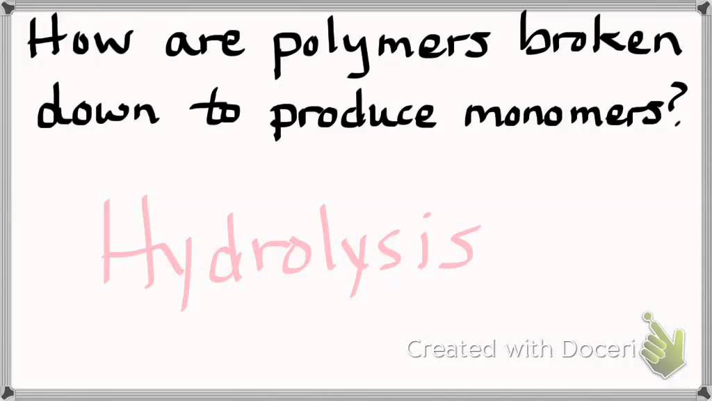 lab test 1 review 1145 lab YouTube