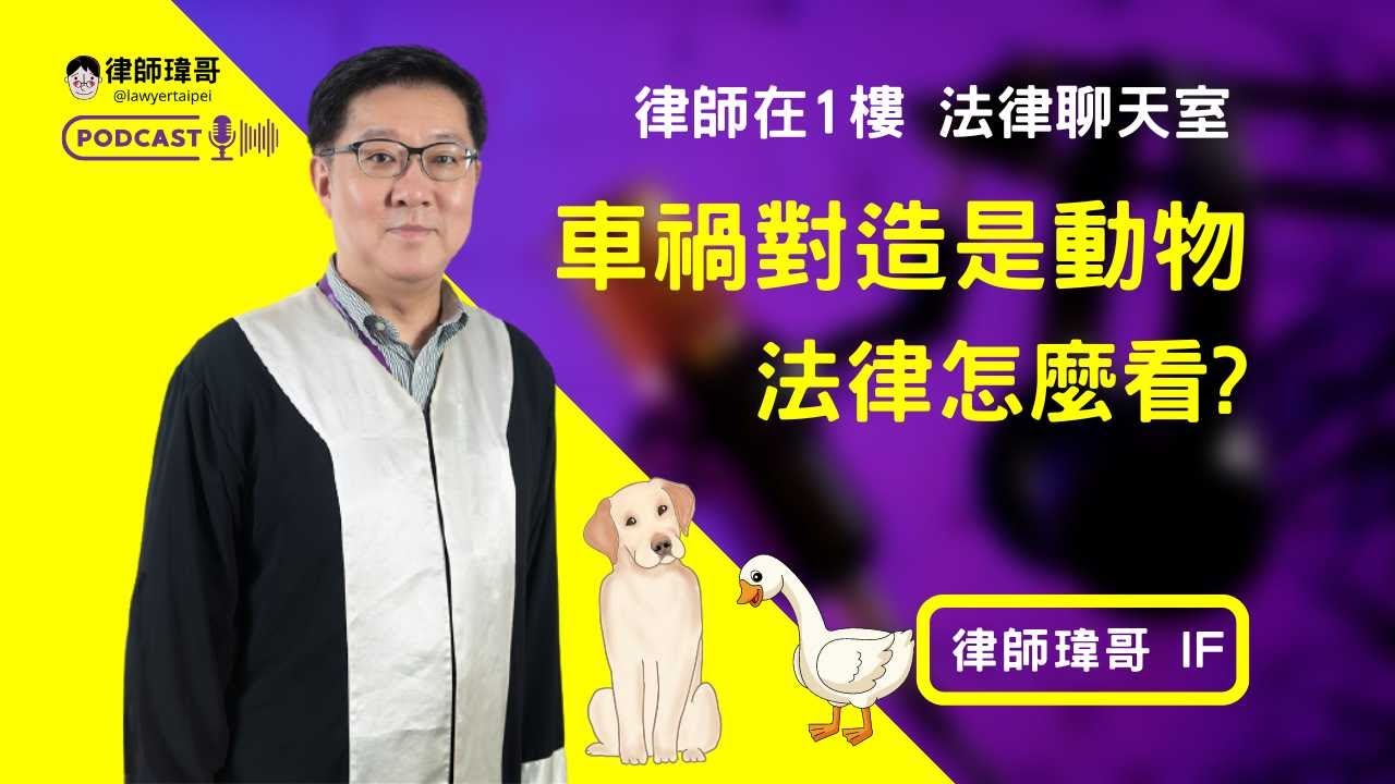 【EP011|車禍法律】《騎車遇到鵝來襲,法官說很呆萌?!聊道路上的各種動物》 《律師在1樓 Podcast》 @LawyerTaipei 縮圖