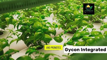 Ultimate Guide to Setting Up Your Hydroponic System: A Step-by-Step Guide | Hydroponic Farming.