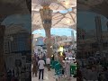 Masjid e Nabvi