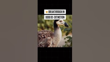 Breakthrough in Dodo De-Extinction