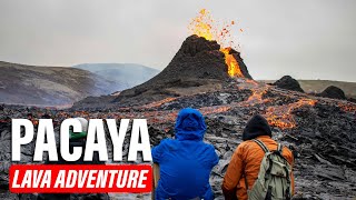 Pacaya Volcano: Roast Marshmallows Over Lava in Guatemala!