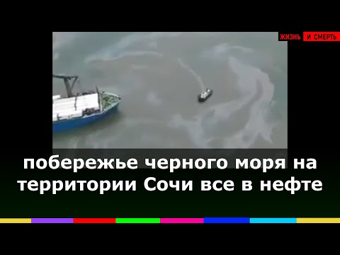 Вода у Туапсе окрасилась в черный цвет после утечки нефти в Черном море