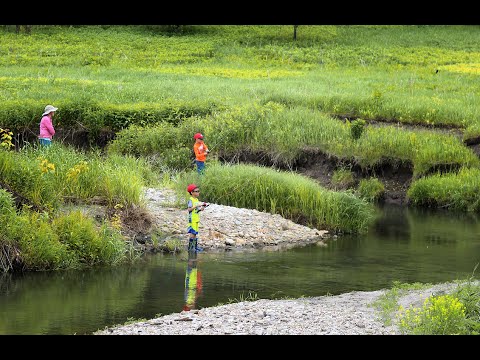 June 2020 -  The Annual Tainter Creek Days Near BAPI