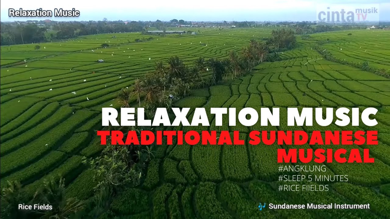 Relaxing Music | Sundanese Music Instrument | Angklung | Seruling | Rice Fields | Sleep in 5 Minute