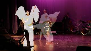 Claudia Shimmies Fantasy Bellydance veil. * Love in Damascus by Lena Chamamyan*