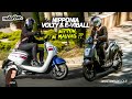 Nipponia volty et eviball  motorlive