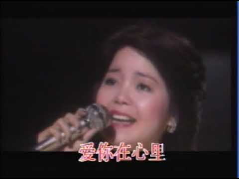 鄧麗君 再見我的愛人 Teresa Teng