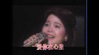 鄧麗君 再見我的愛人 Teresa Teng
