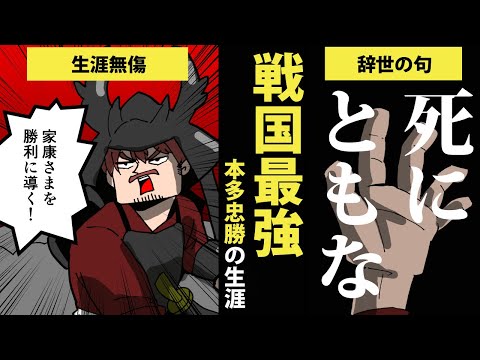 【漫画】本多忠勝の生涯を8分で簡単解説！【日本史マンガ動画】