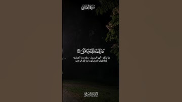 سورةٌ أُنزِلت بعد فتور الوحي عن النبي ﷺ #سورة_الضحى #قرآن #quran