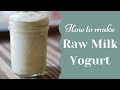 How to make raw milk yogurt  yogurt with no yogurt maker or instapot