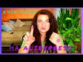 #ЧЁКУПИЛА на ALIEXPRESS || обзор товаров для красоты😻 с Алика : пигменты , тейпы …