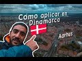 Work and Holidays Dinamarca -Guia para aplicacion presencial + experiencia Workaway Dinamarca