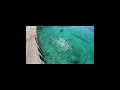 Watch for sharks!!🦈👀🤿#sharks #shark #bimini #bahamas #adventuresport #sealife #shorts #danger #dive