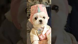 별이 할아버지의 특별한 부탁🐶 | Grandpa's Special Request for Byeol🎊