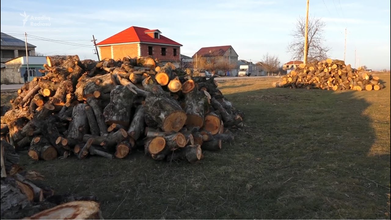 Qaz ola-ola odun yandıran kənd - Xaçmazdan REPORTAJ