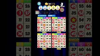 Bingo: New Free Cards Game Vegas and Casino Feel screenshot 4