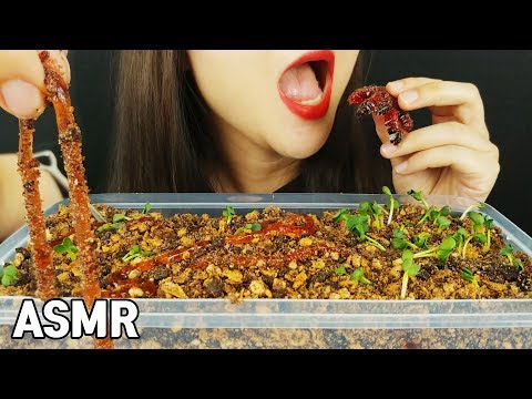 ASMR  EDIBLE earth and earthworm Eating show, Mukbang Eating Sounds