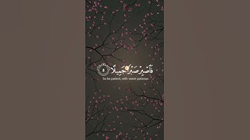 فاصبر صبرا جميلا #قران_كريم #اكسبلور #المصحف #استرخاء #راحة_نفسية #آيات