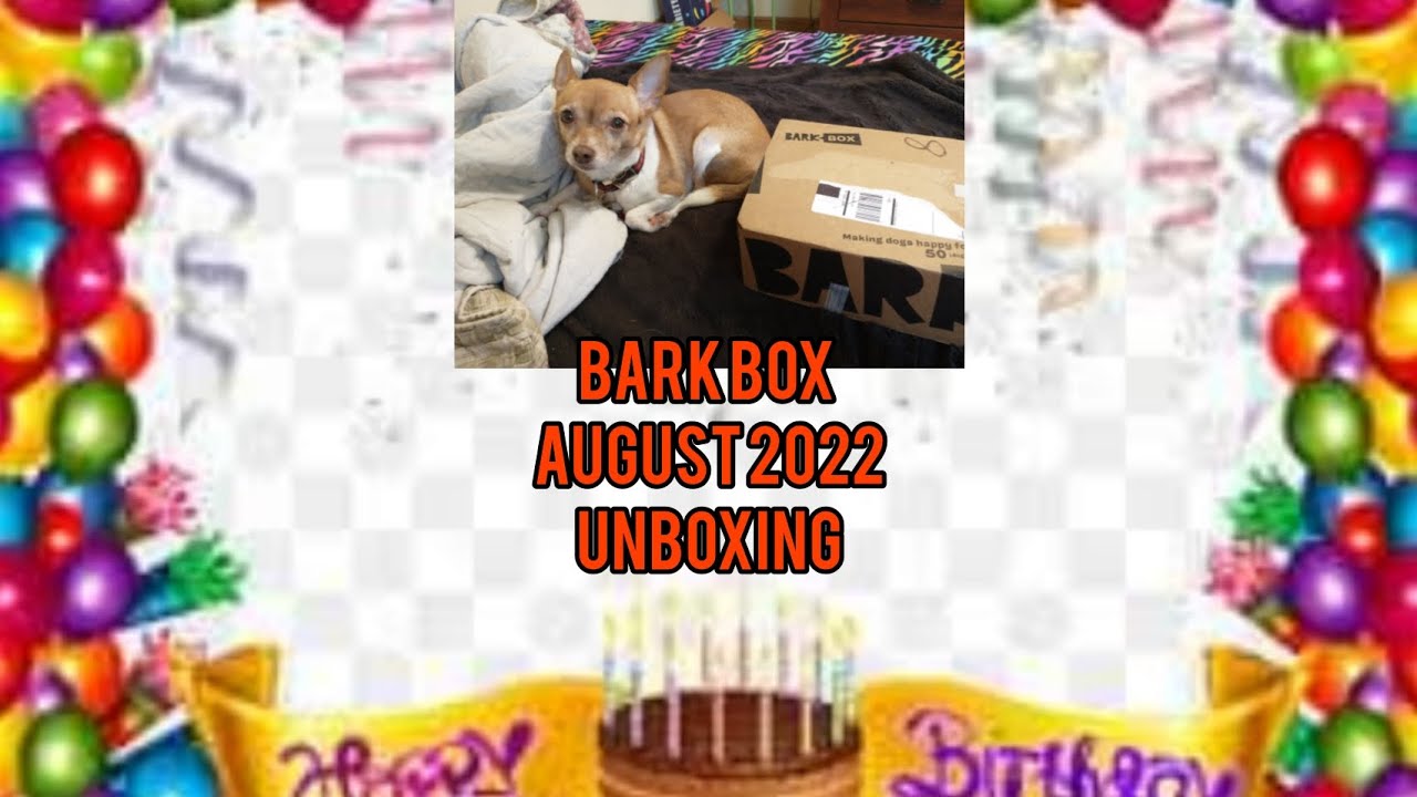 Bark Box August 2022 Unboxing