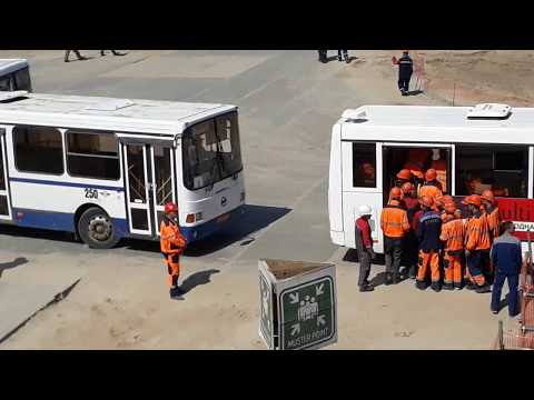 ვიდეო: როგორ მივიდეთ ტობოლსკში