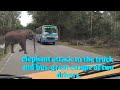 elephant attack to the truck and TN bus.