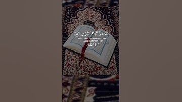 القرآن الكريم سورة نمل #القرآن_الكريم #سورة_النمل