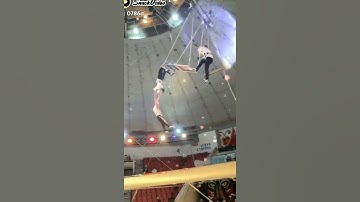 Lucky irani circus#shorts 👍