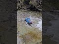 Surfs up! #RC #Crawler #Creek #Forest #Axial #SCX10 #Basecamp #outdoors