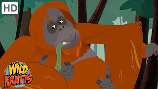 Amazing Adaptations Part 4 | How Animals Survive in the Wild | Wild Kratts