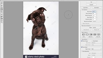 Adobe Photoshop - Using the Bloat Tool